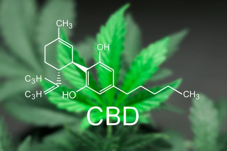 Why CBD oil should be chosen from best source?